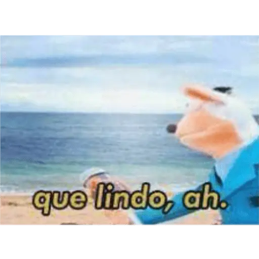 31 minutos
