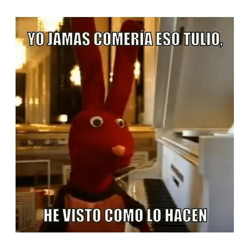 31 minutos