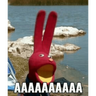 31 minutos