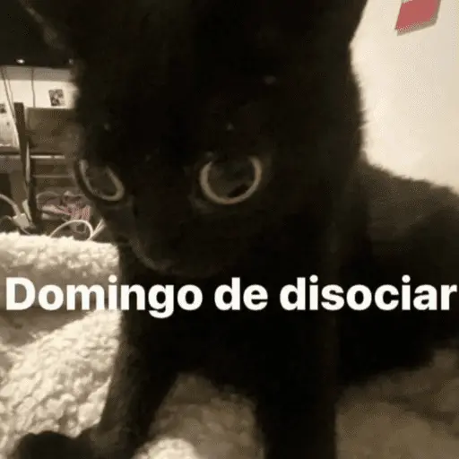 😛 DIAS DE LA SEMANA TOP 😛