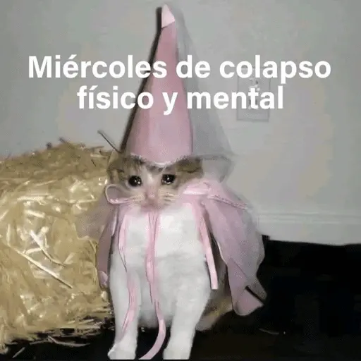 😛 DIAS DE LA SEMANA TOP 😛