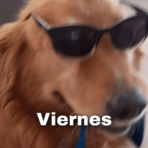 😛 DIAS DE LA SEMANA TOP 😛