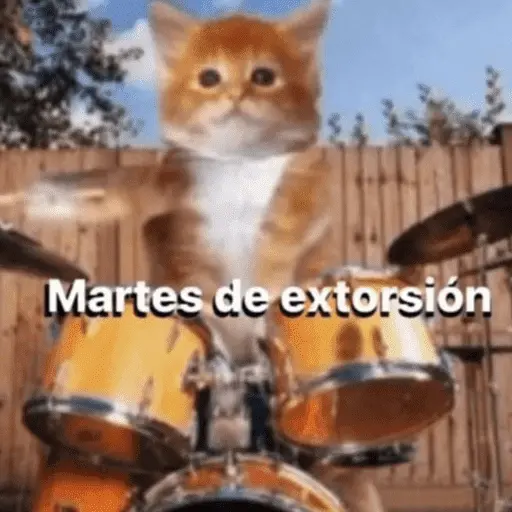 😛 DIAS DE LA SEMANA TOP 😛