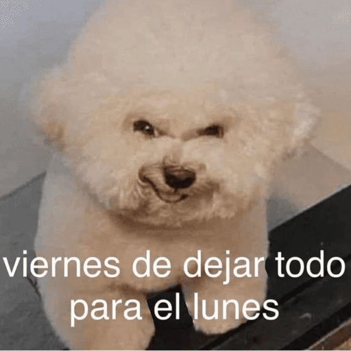 😛 DIAS DE LA SEMANA TOP 😛 preview