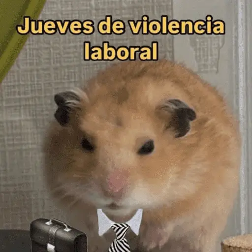 😛 DIAS DE LA SEMANA TOP 😛