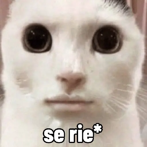 animales ramdom