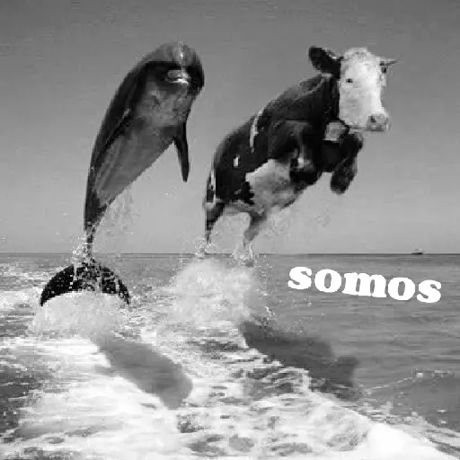 animales ramdom