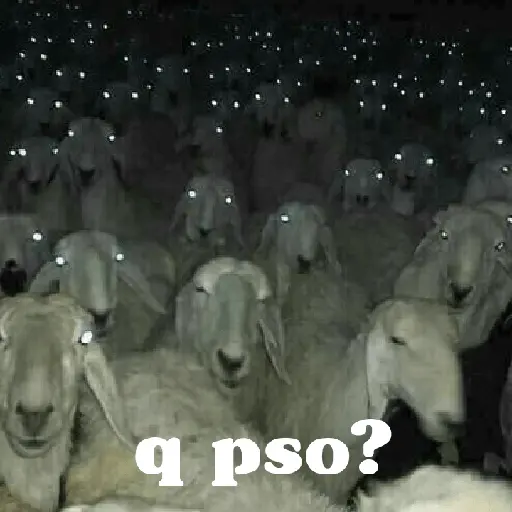 animales ramdom