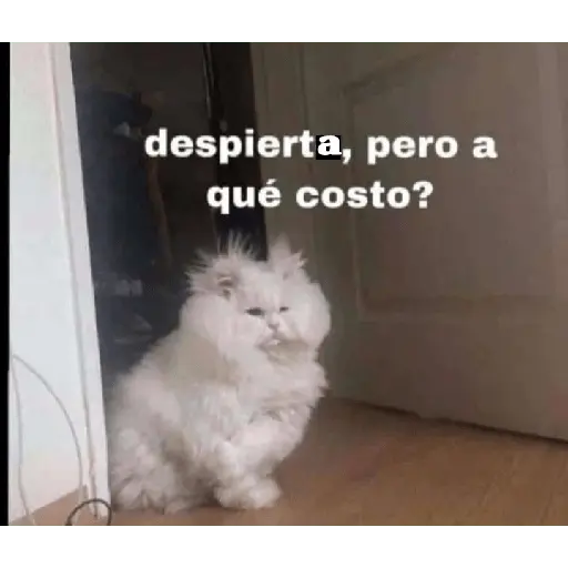 animales ramdom