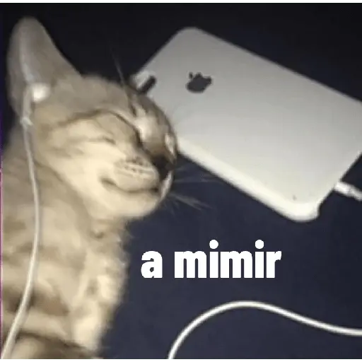 animales ramdom