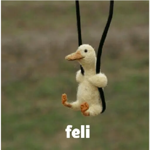 animales ramdom