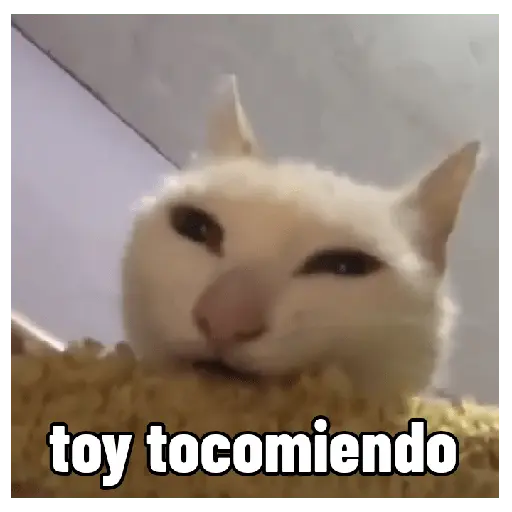 animales ramdom