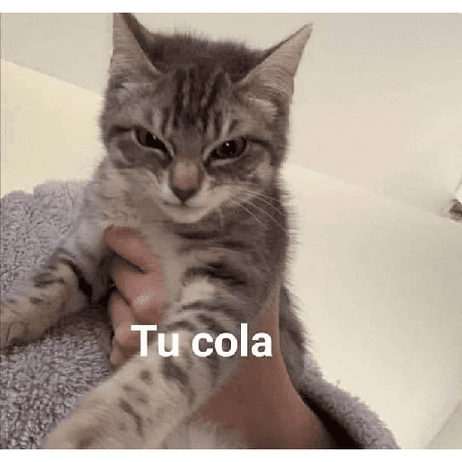 Michi frases preview