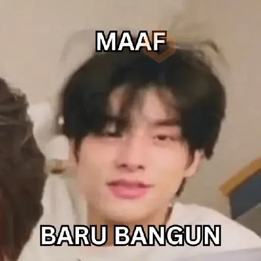 K-Pop Meme sticker 15
