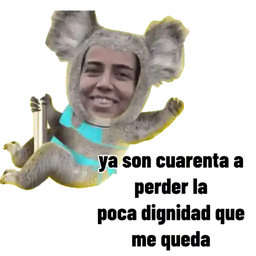 Mis pegatinas