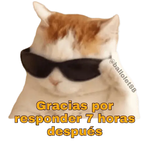 Animales Divertidos