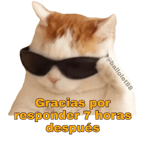 Animales Divertidos preview