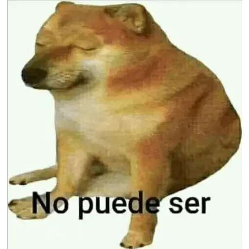 Animales Divertidos