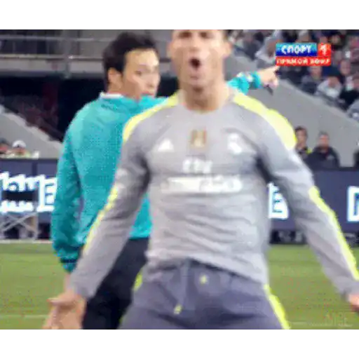 fútbol 