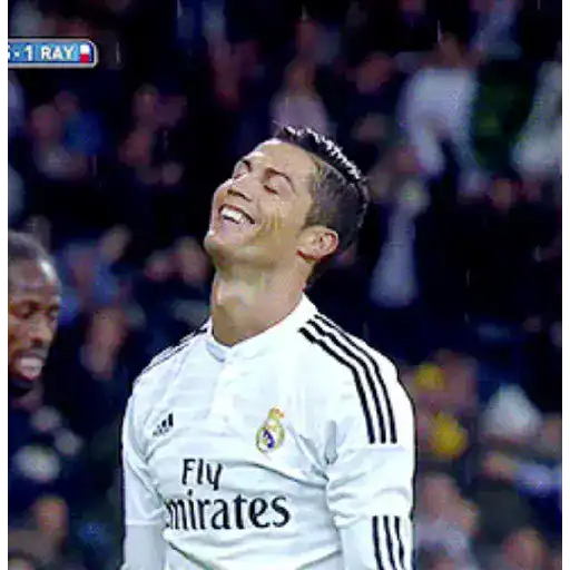 fútbol 