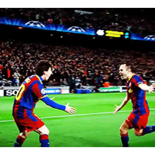 fútbol 