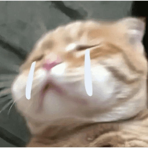 MEME Kucing Baru preview