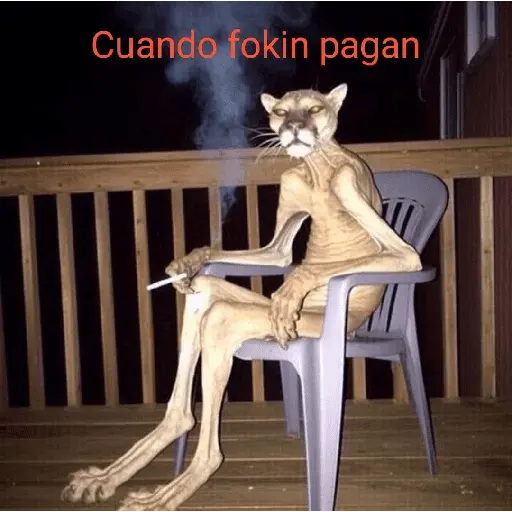 Wtf
