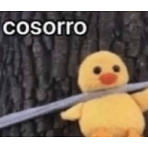 Wtf