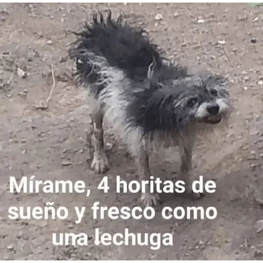 Wtf