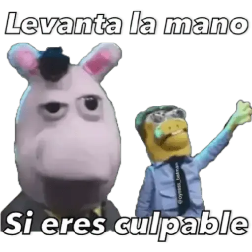 31 minutos