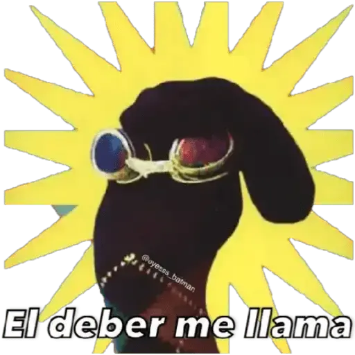 31 minutos