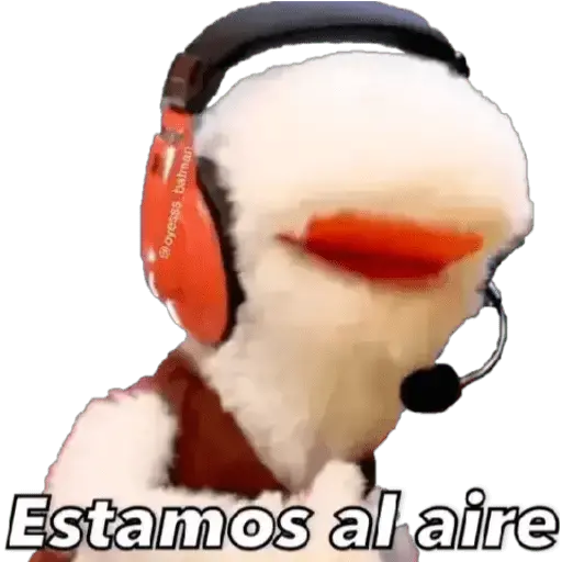 31 minutos