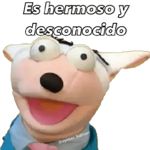 31 minutos