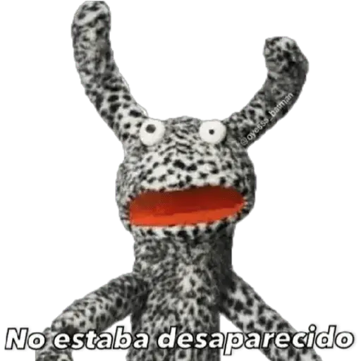 31 minutos
