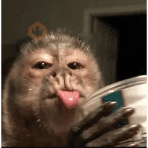 pra amor sticker 18