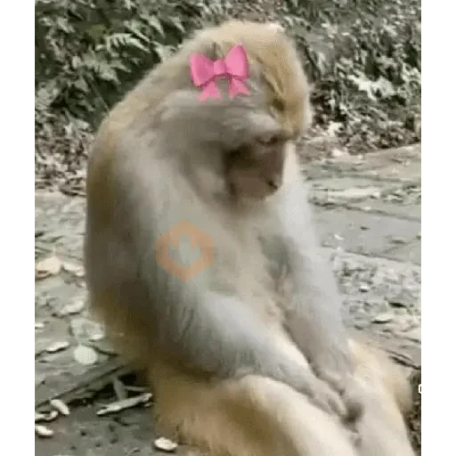 pra amor sticker 24