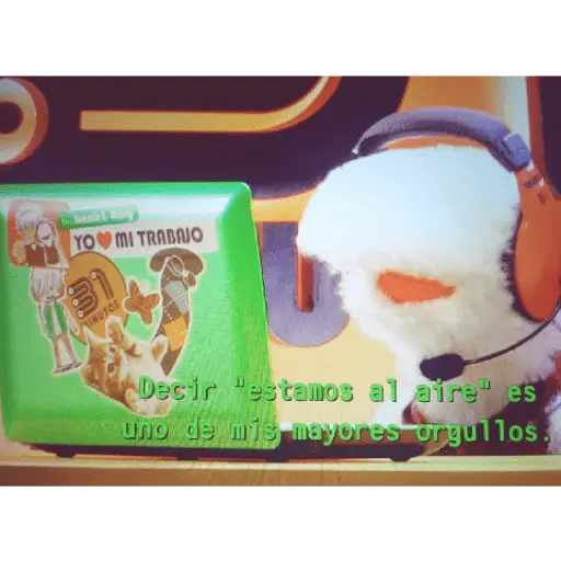 31 minutos