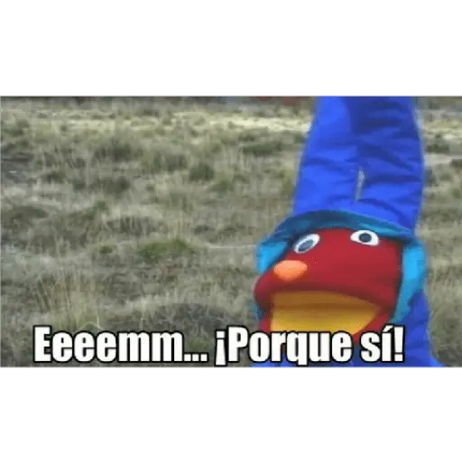31 minutos