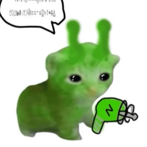 animales miadøs