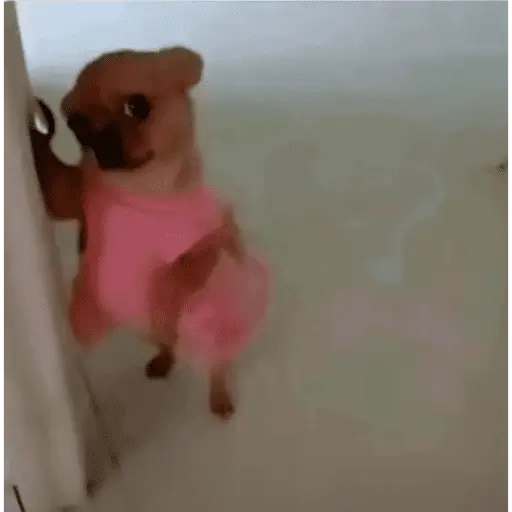 Tiktok photos 