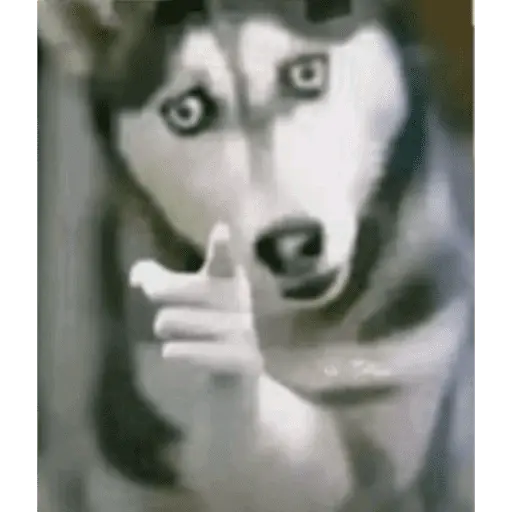 Tiktok photos 