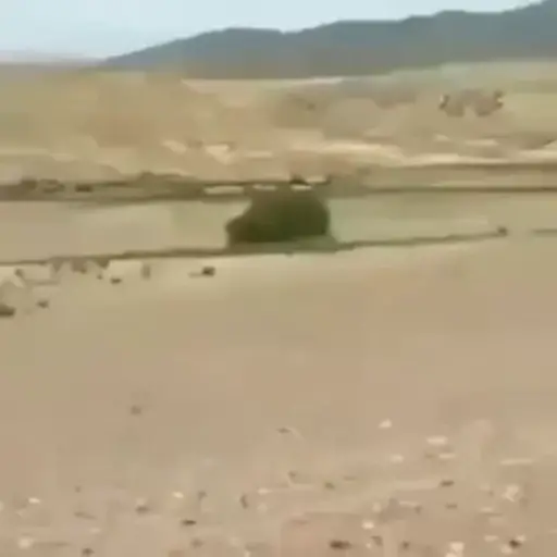 31 minutos