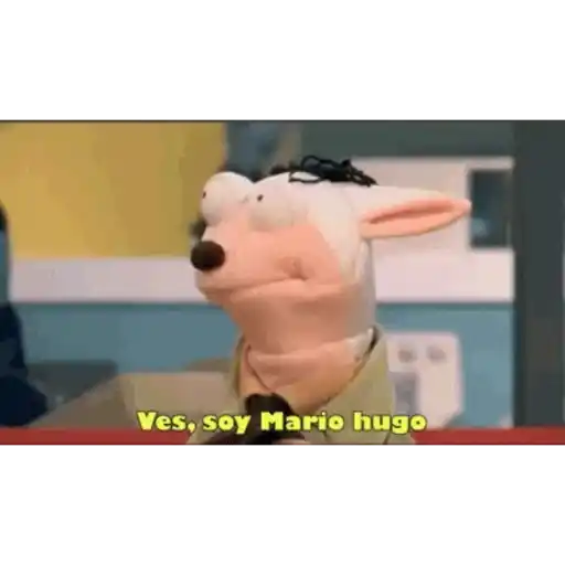 31 minutos