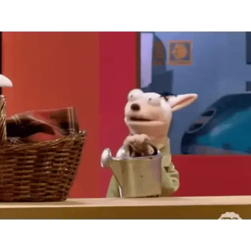 31 minutos