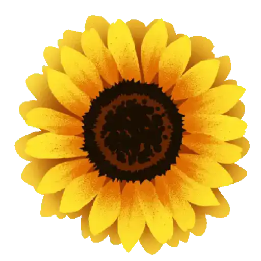 🌼🌼 Flores Amarillas / Flork 🌼🌼