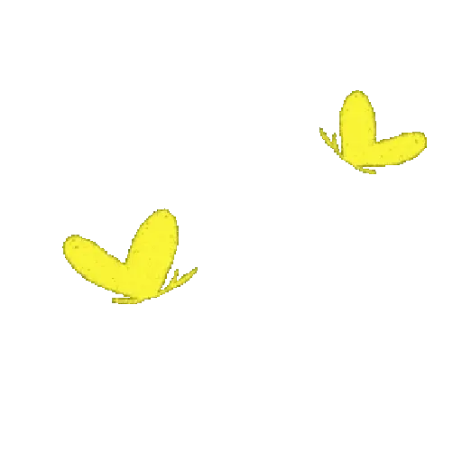 🌼🌼 Flores Amarillas / Flork 🌼🌼