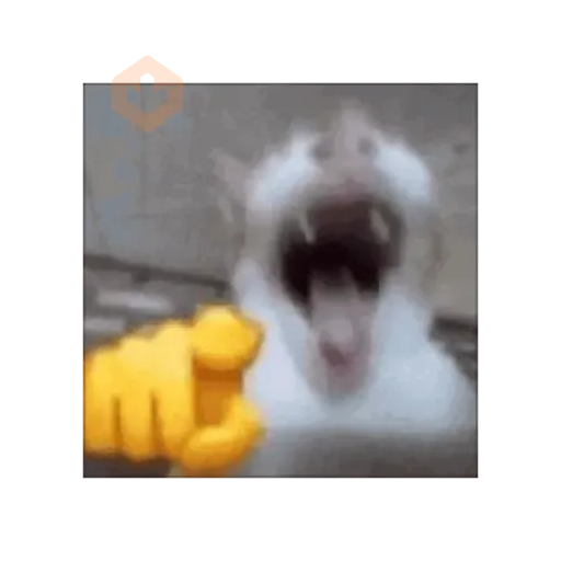 Gif random para el chat sticker 12