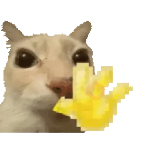 Gif random para el chat sticker 16