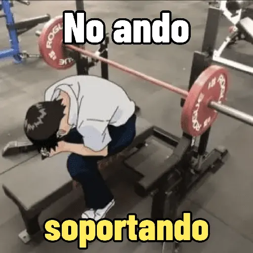 Pal gym 💪🏻🏋🏻