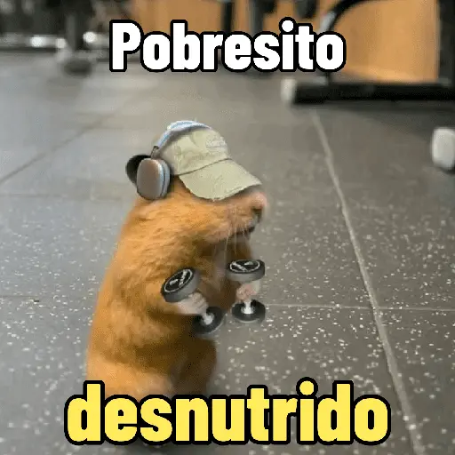 Pal gym 💪🏻🏋🏻